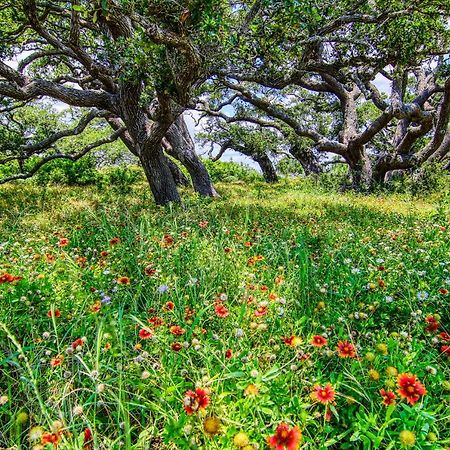 فيلا روكبورتفي Coastal Hideway #B المظهر الخارجي الصورة
